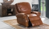 Picture of Rocky Mountain Leather Brandy Alligator Power Recliner
