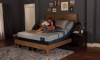 Picture of Blue 100 Mattress