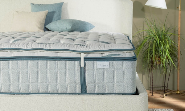 Picture of Aireloom Luxury Topper Pad