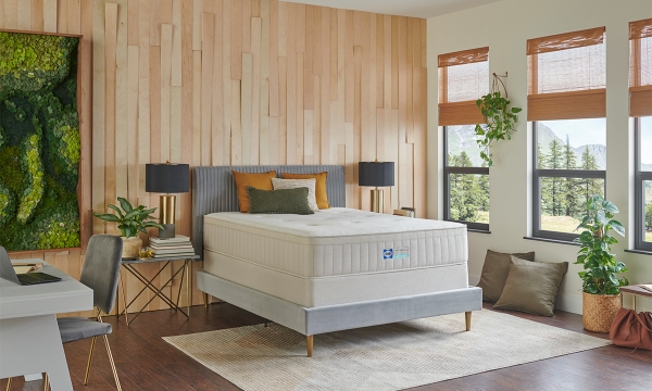 Picture of Sealy Natural Firm Mattress