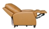 Picture of Lauren Brown Leather Power Recliner