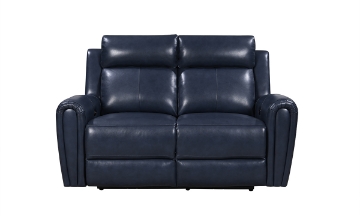 Picture of Tampa Blue Leather Single Power Loveseat