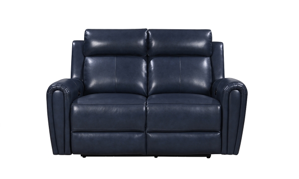 Picture of Tampa Blue Leather Single Power Loveseat