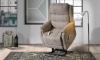 Picture of Heim Steel Power Lift Recliner