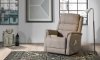 Picture of Heim Steel Power Lift Recliner