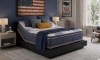 Picture of 250th Lincoln Pillowtop Plush Mattress