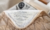 Picture of Nora Snow Twin Sleeper Chair