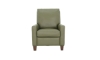Picture of Fairview Chive Leather Recliner